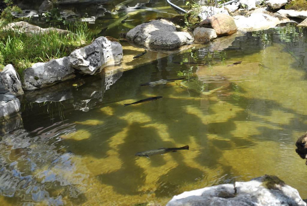 Discret Hotel & Restaurant Vladaya Dış mekan fotoğraf