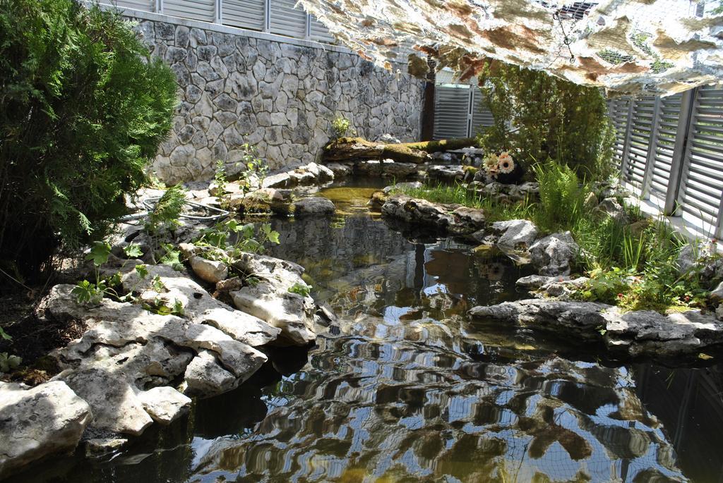 Discret Hotel & Restaurant Vladaya Dış mekan fotoğraf